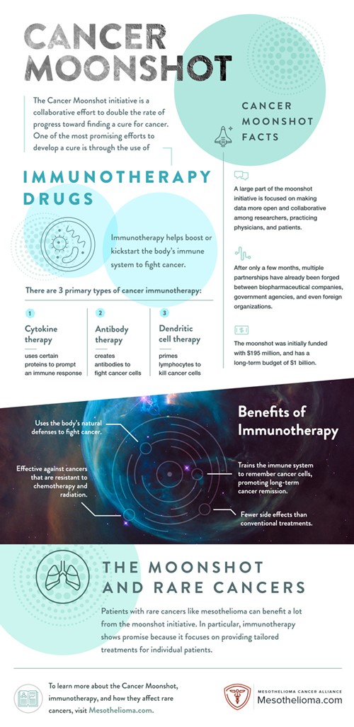 MCA Moon Shot Infographic