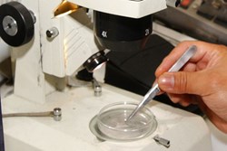 New Asbestos-Detecting Microscope Could Improve Abatement Process