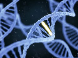 BAP1 Gene Study