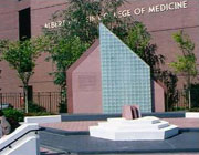 Albert Einstein Cancer Center