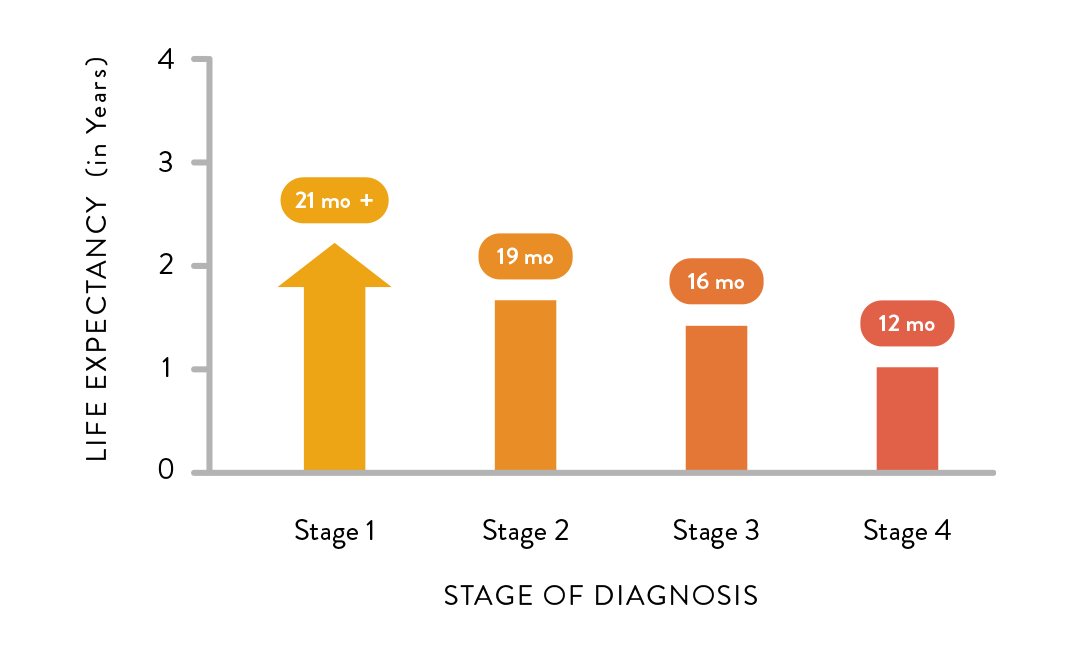 clinical trials for pleural mesothelioma