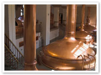 Brewing Companies