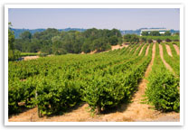Asbestos Exposure in Napa, CA