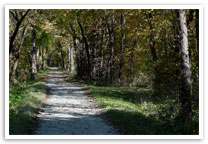 Asbestos Exposure in Morris, IL