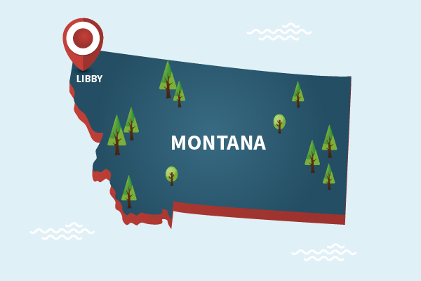 Map of Montana with a pin on Libby