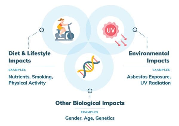 Several factors, including nutrition, can impact mesothelioma patients outcomes.