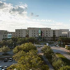 H. Lee Moffitt Cancer Center & Research Institute | Mesothelioma