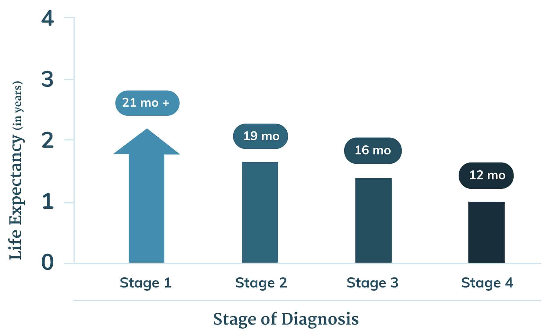 Lung Cancer Growth Rate Chart