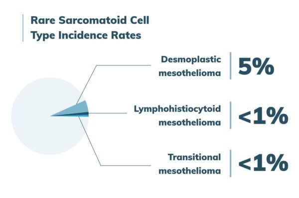 Rare Sarcomatoid Cell Types