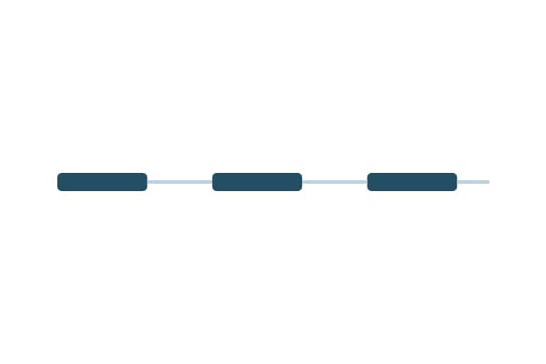 Depiction of the structure of cereal beta-glucans, which are linear