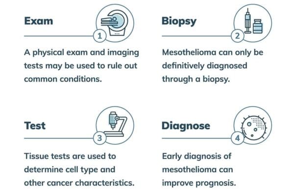 Chart showing the four steps of a mesothelioma diagnosis
