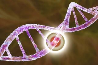 Study Finds Genetic Mutation May Indicate a Risk of Mesothelioma
