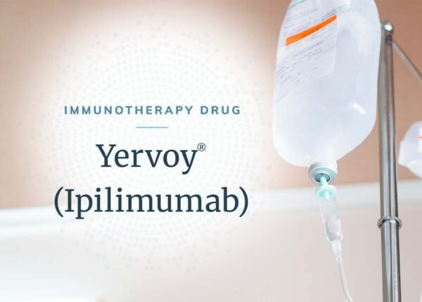 Immunotherapy drug Yervoy for mesothelioma treatment